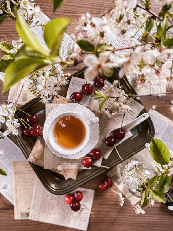 весенняя чашка чая