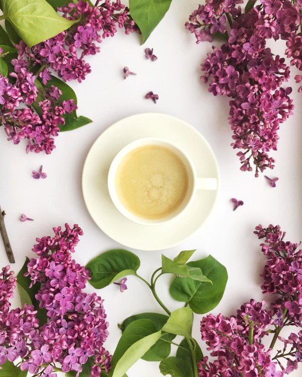 фиолетовый кофе