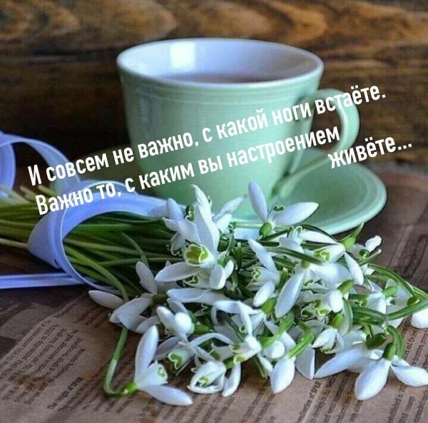 букет подснежников