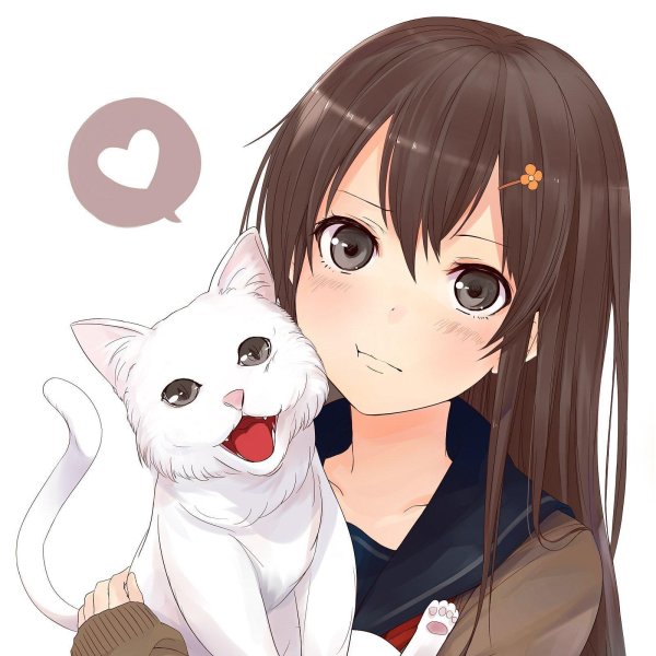 аниме с котиками