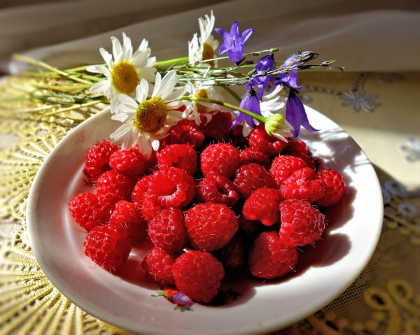 летние ягоды