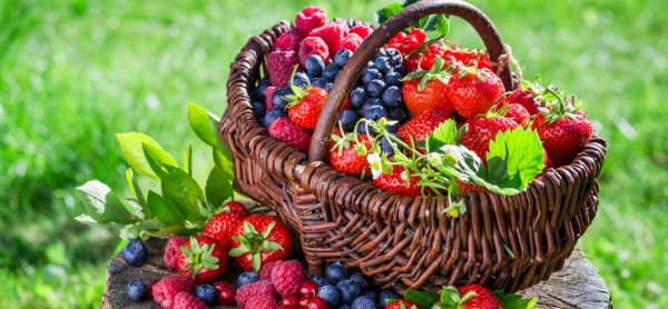 летние ягоды
