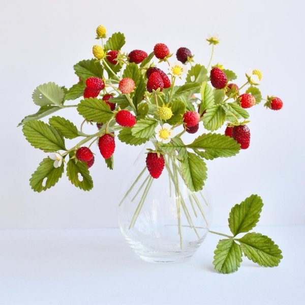 веточка земляники