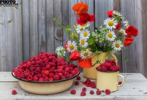 летнего утра