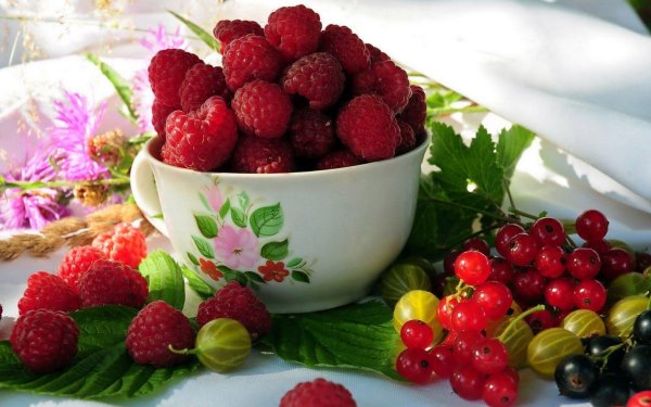 угощайся фрукты для тебя