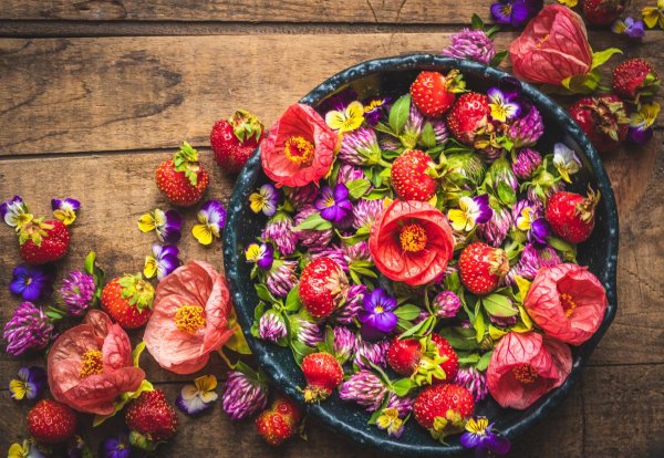 лесная ягода клубника