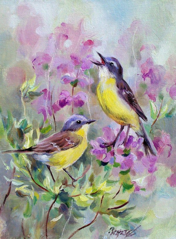 трясогузка акварель