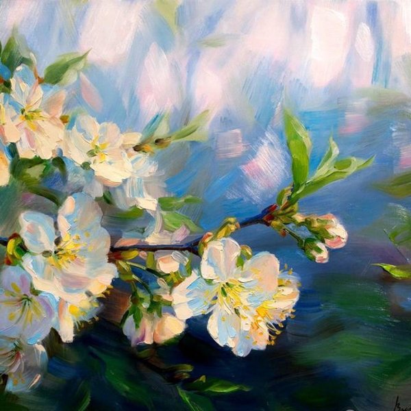 цветет яблоня