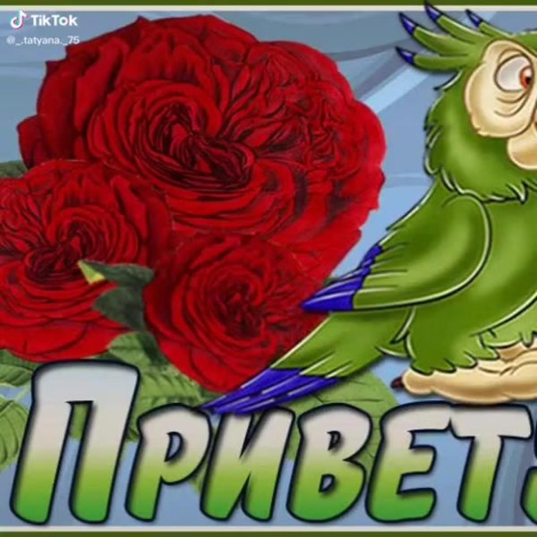 милая привет