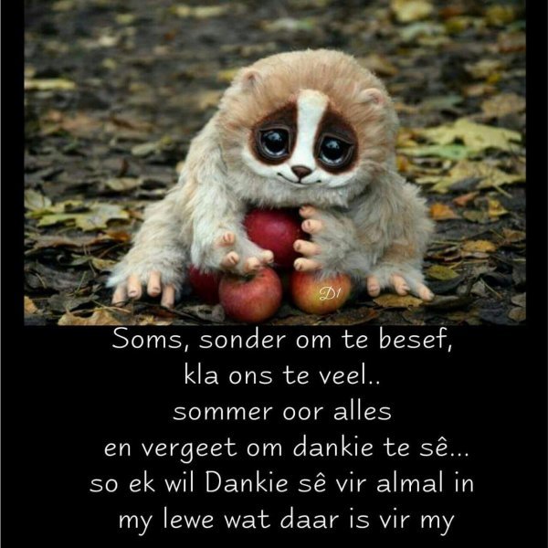 прикольное животное