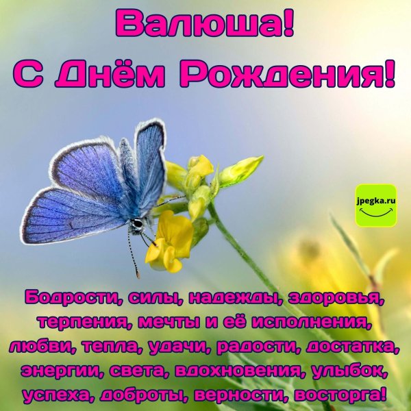 голубянка бабочка