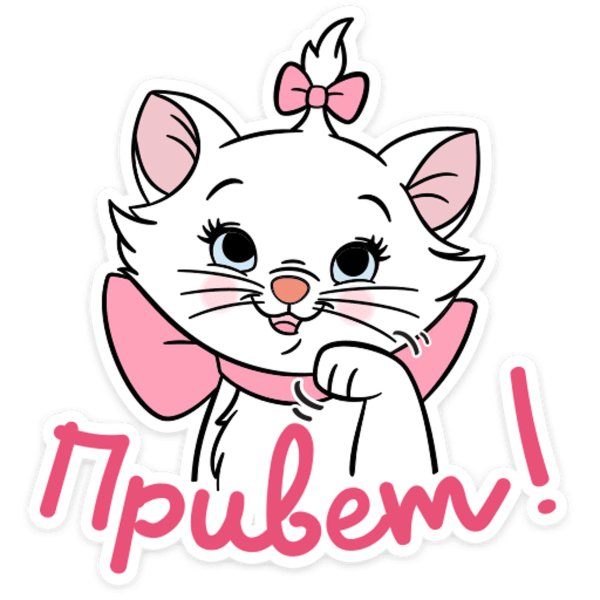 кошечка мари