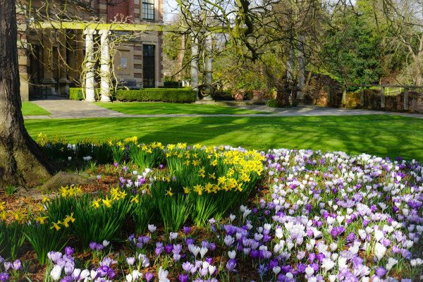 парк койкенхоф голландия