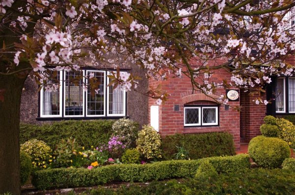 вишнёвый сад поместье