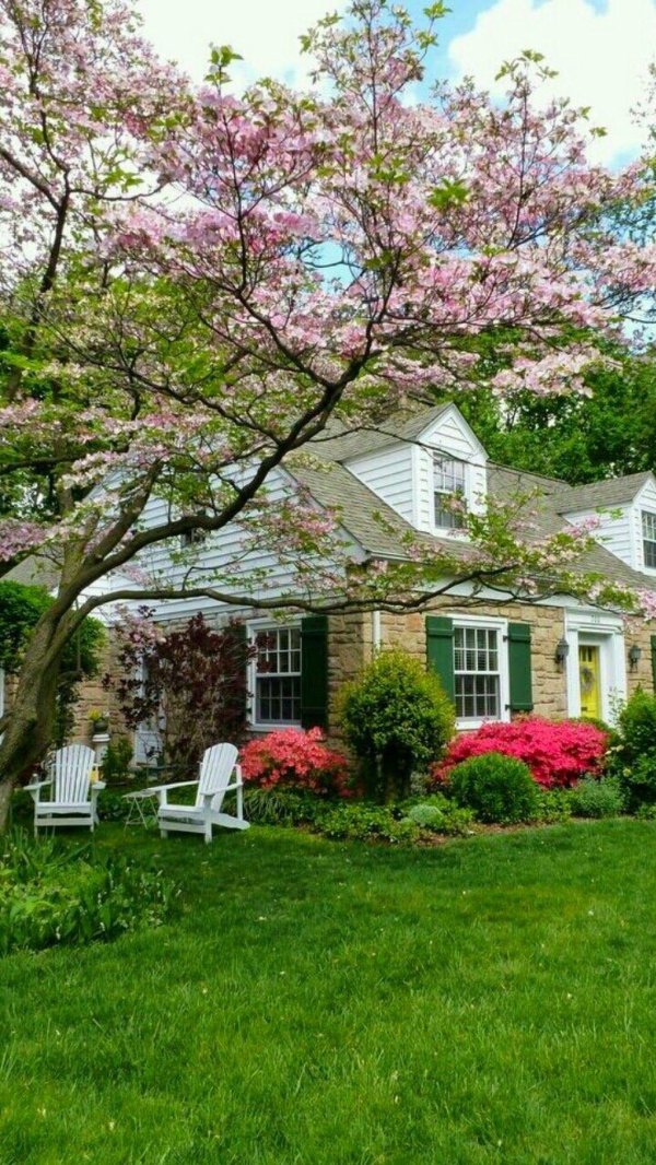 front yard landscaping ideas