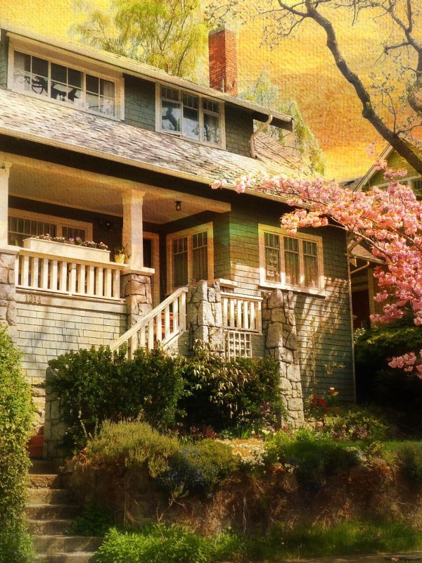 архитектура здание