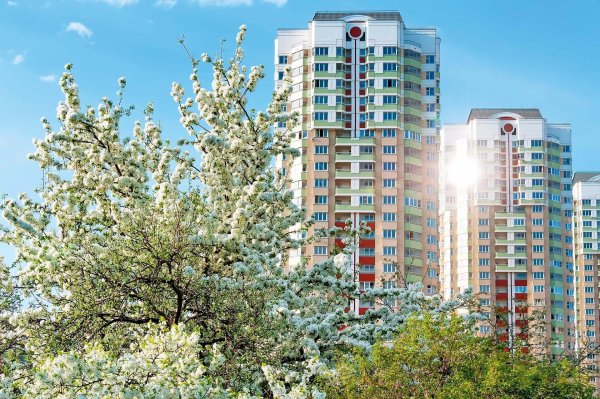 новокуркино москва