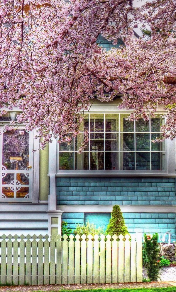 домики красивые