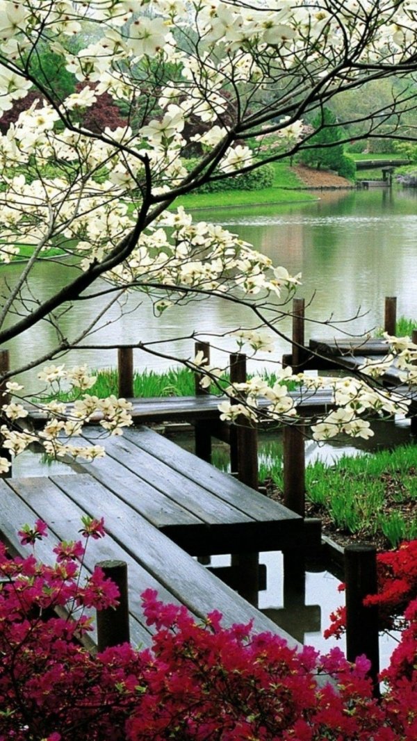 сады японии