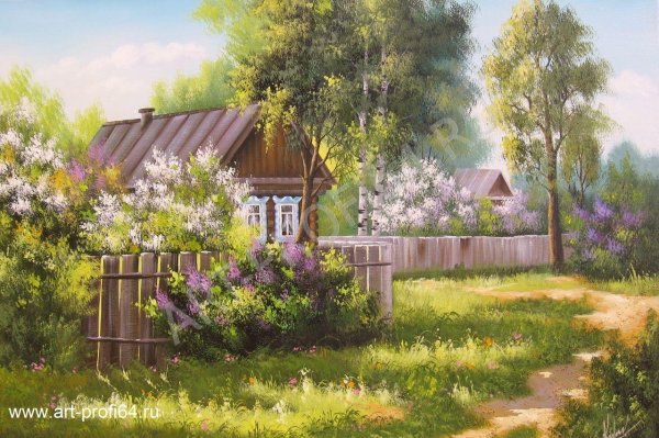 владимир жданов сирень