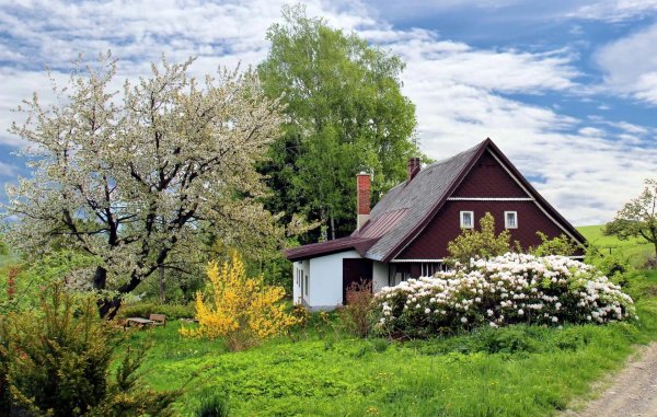 природа дача