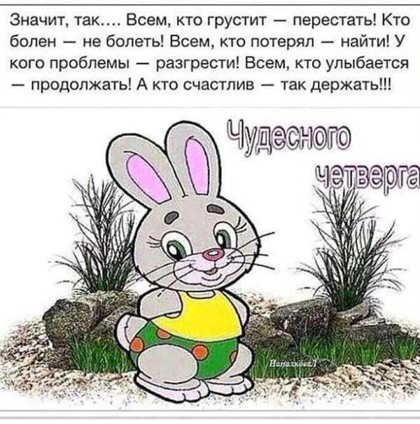 заяц мультяшный