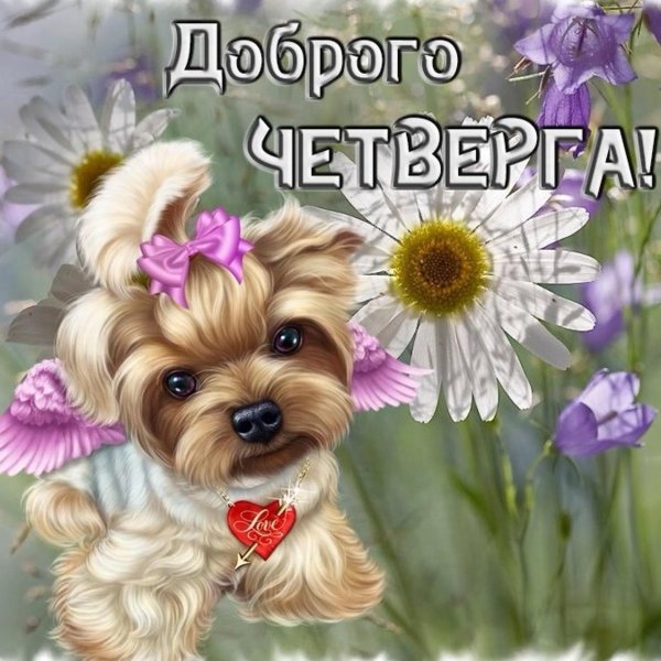 открытка с добрым утром четверга красивая