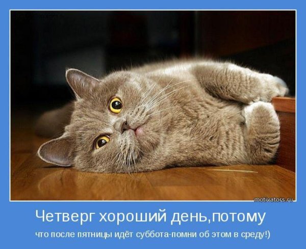 четверг мотиватор