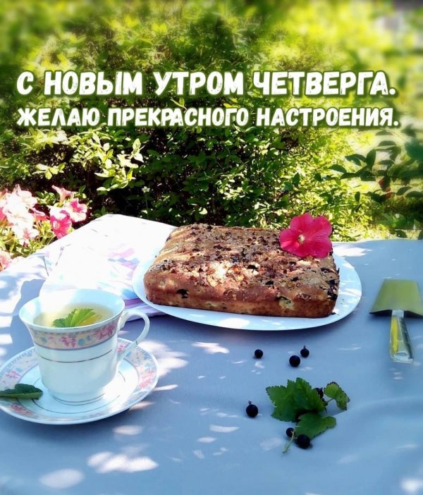 поздравления с добрым утром и хорошим настроением