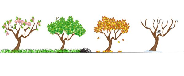 мультяшные деревья