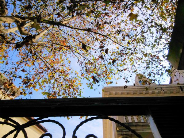 Осень весна