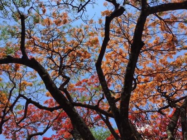 Осень весна