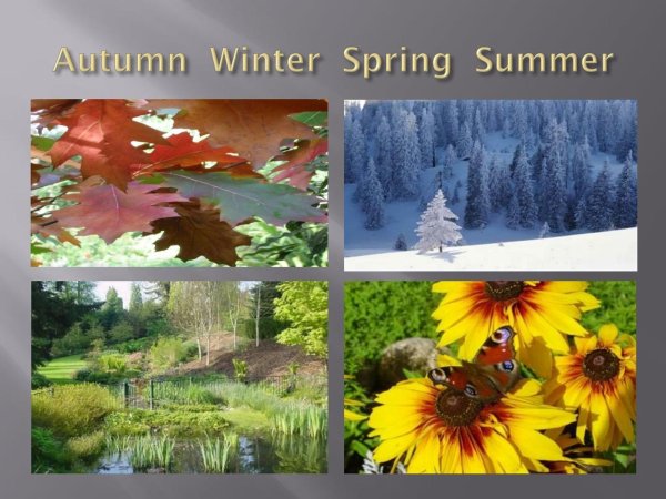 summer autumn winter spring