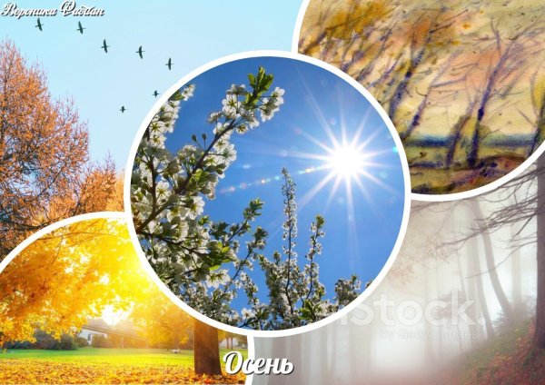 весеннее солнышко