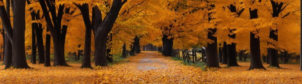 осенние пейзажи