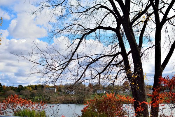 осенние пейзажи