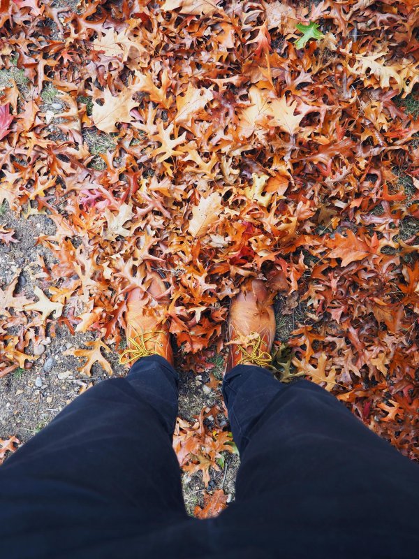 осенние фотографии