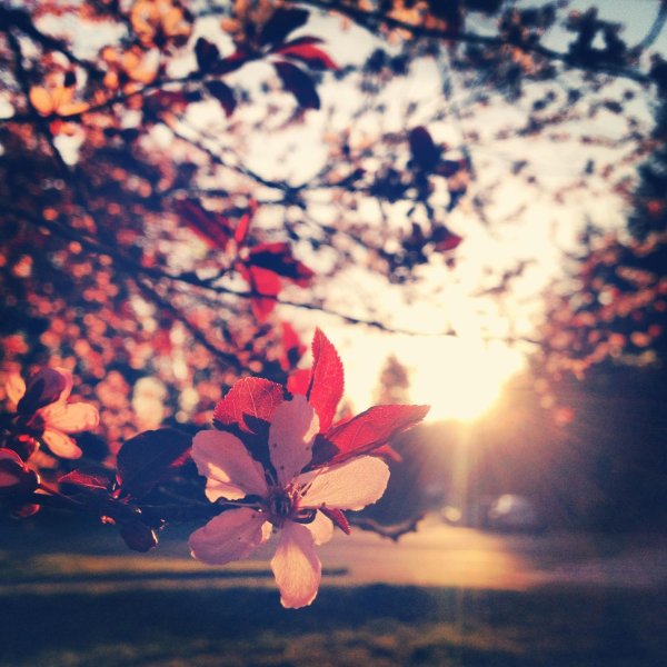 весна красивая