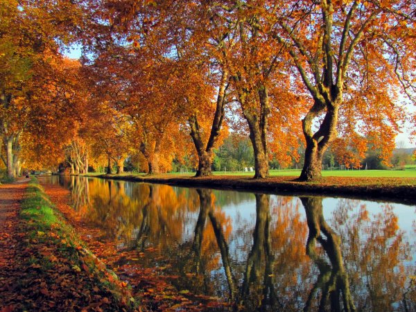 осенние пейзажи