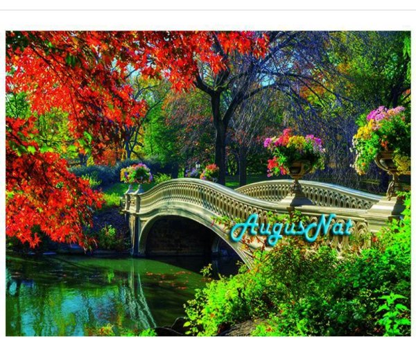 центральный парк ньюйорк мостик