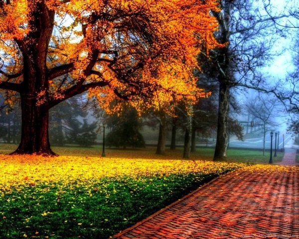 осенний парк