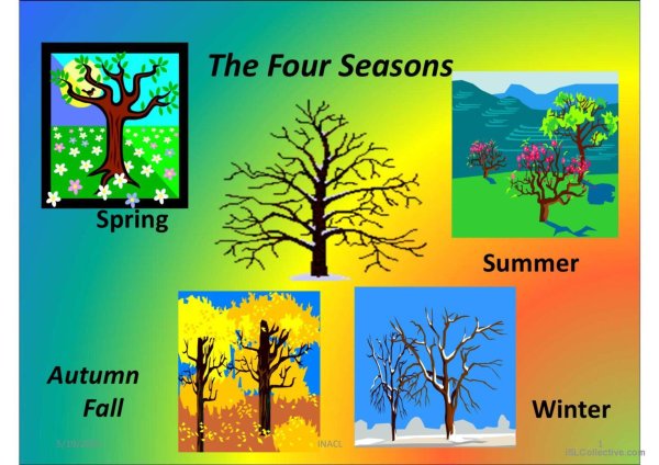 seasons презентация