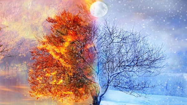 четыре времени года