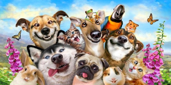 много зверей