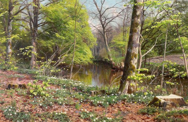 педер монстед