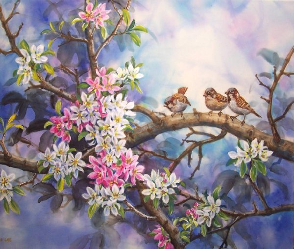 ветка цветущей яблони акварель ольги абакумовой