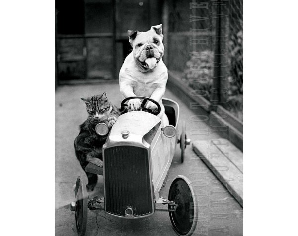 ретро фотографии