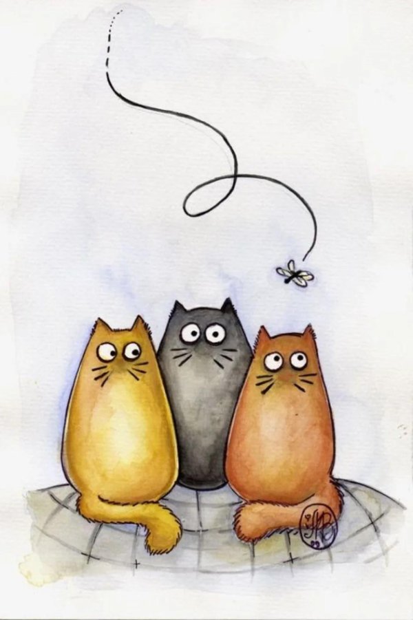 смешные рисунки котиков