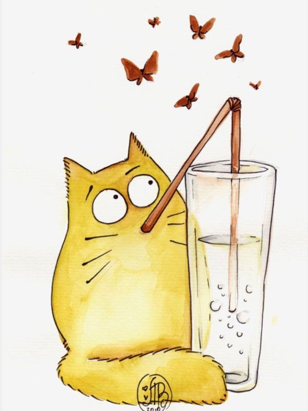 смешные мультяшные котики