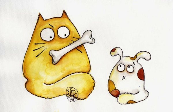 смешные мультяшные котики